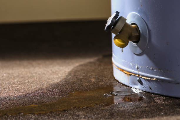 Best Flood restoration services  in Heidelberg, PA