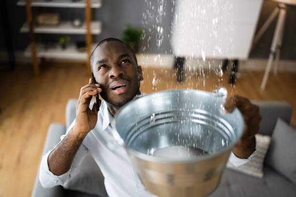 Best Water damage contractors near me  in Heidelberg, PA