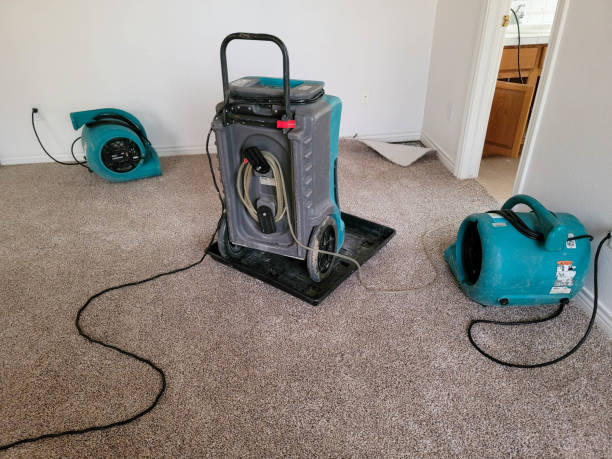 Best Water damage cleanup near me  in Heidelberg, PA