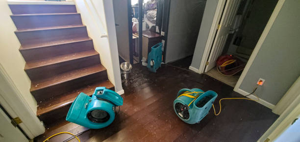 Best Flooded house restoration  in Heidelberg, PA