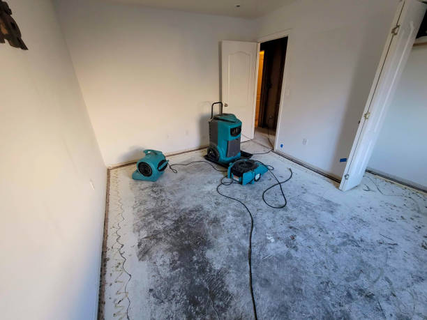 Best Residential water damage restoration  in Heidelberg, PA