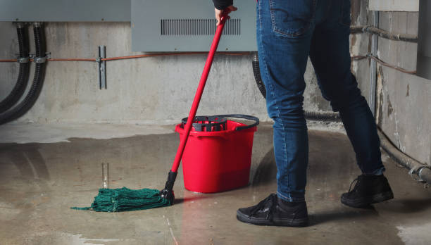 Best Flood damage cleanup  in Heidelberg, PA