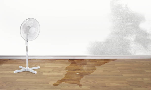 Best Water damage restoration near me  in Heidelberg, PA