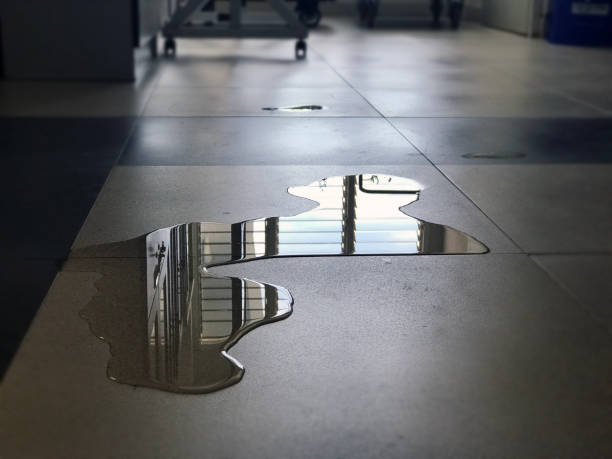 Best Commercial water damage restoration  in Heidelberg, PA
