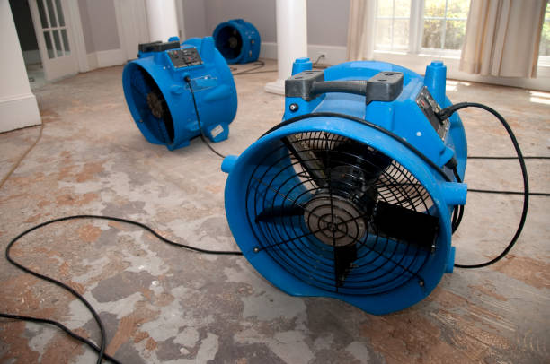 Best Flood damage cleanup  in Heidelberg, PA