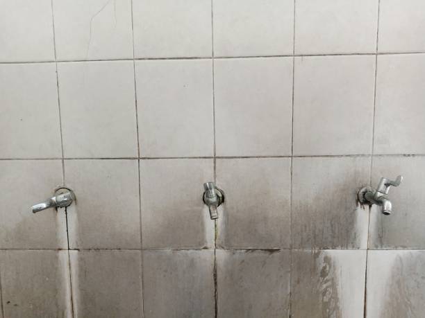 Reliable Heidelberg, PA Water damage restoration Solutions