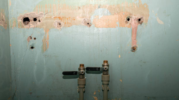 Trusted Heidelberg, PA Water damage restoration Experts