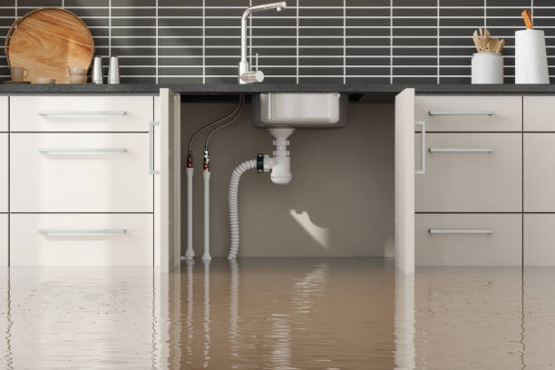 Best 24-hour water damage restoration  in Heidelberg, PA