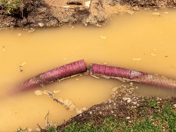Best Sewage cleanup and water damage restoration  in Heidelberg, PA