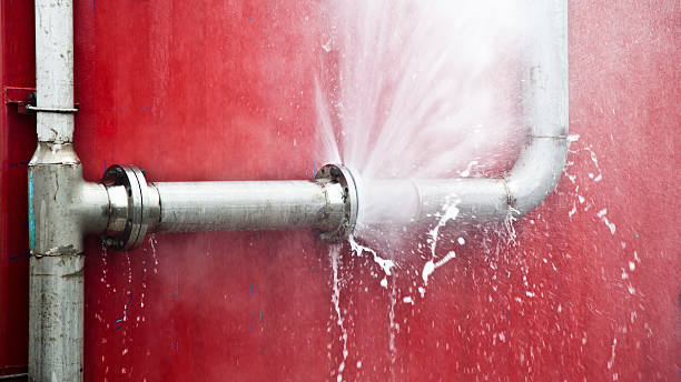 Best Water damage contractors near me  in Heidelberg, PA